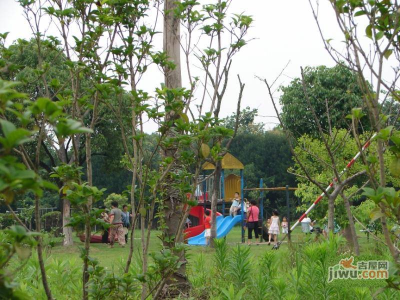 美丽家园实景图图片