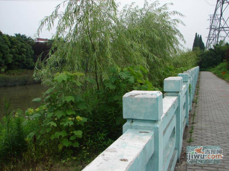 美丽家园实景图图片