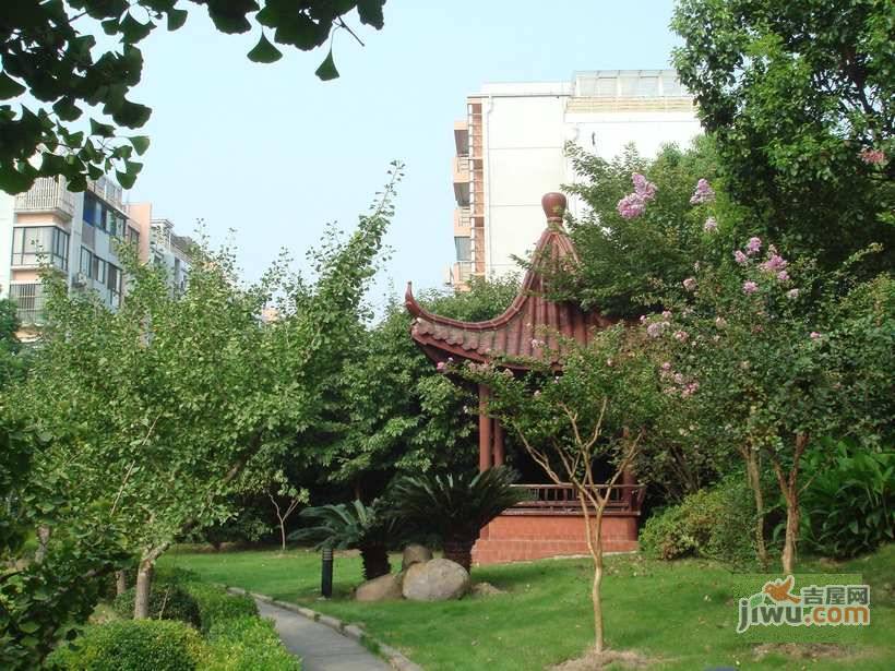 宝安新苑实景图图片