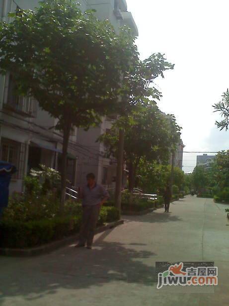新德四村实景图图片