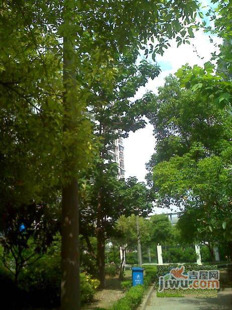 新德四村实景图图片