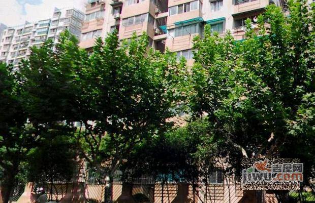 南桥曙光实景图图片