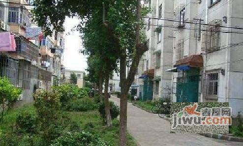 南桥曙光实景图图片