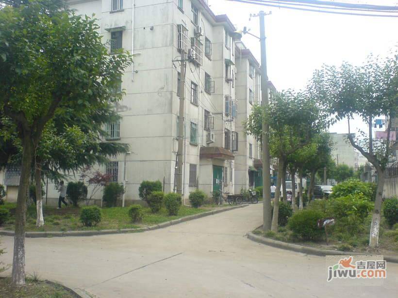 南桥曙光实景图图片