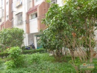 临丰小区效果图