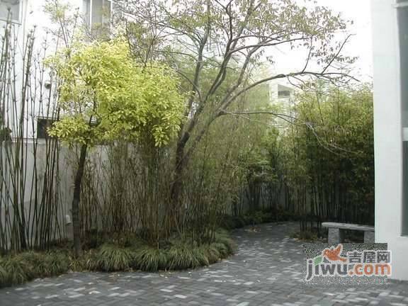 东菱花苑实景图图片