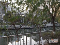 河滨城市花园实景图图片