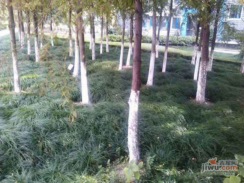 瑞禾明苑实景图图片
