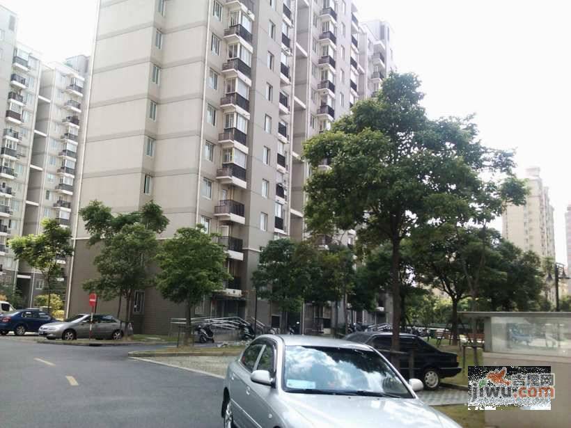 高行绿洲实景图图片