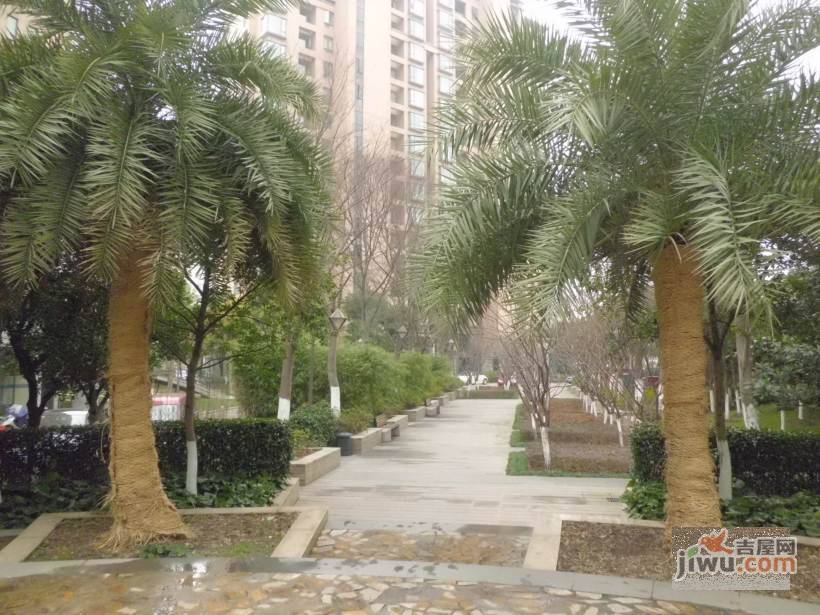锦绣满堂花园北区实景图图片