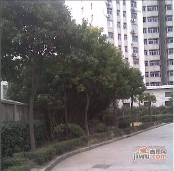 莲珠大厦实景图图片