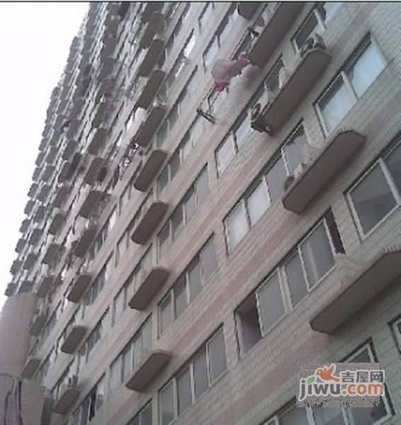 莲珠大厦实景图图片