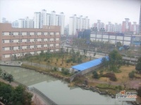 海上国际花园实景图65