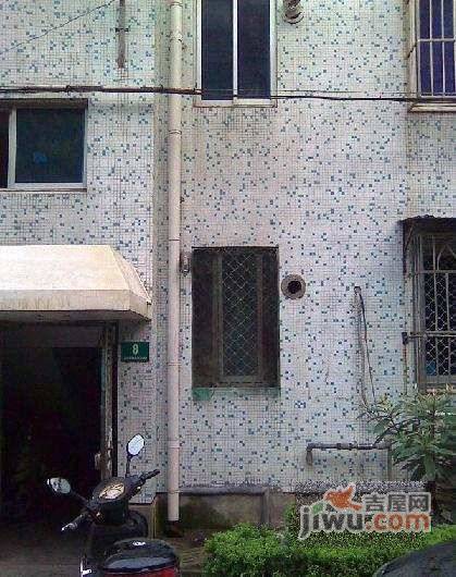 龙港新村实景图图片