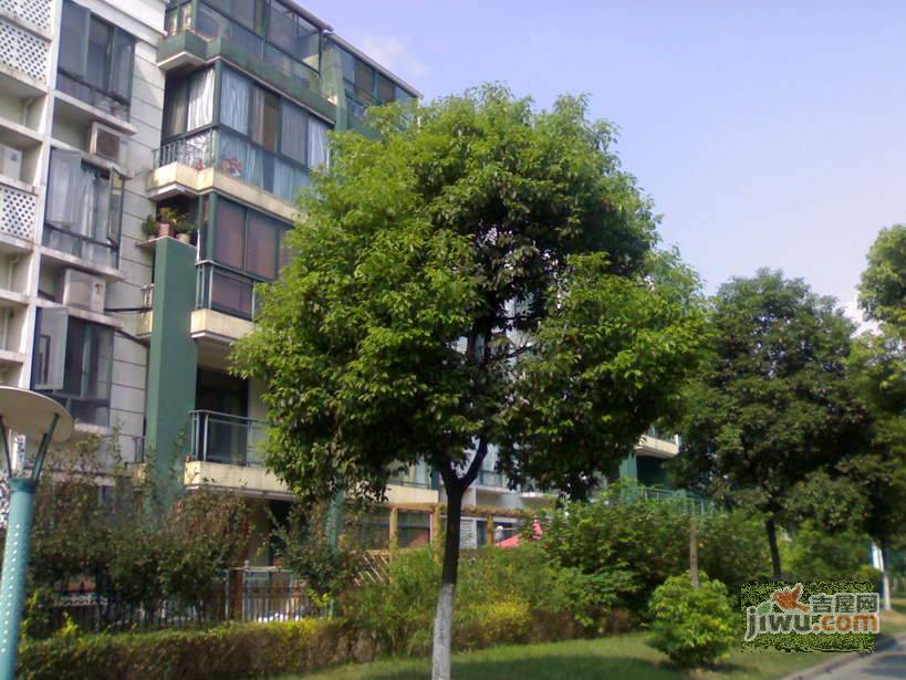 锦华东南苑实景图图片