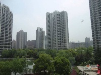 陆家嘴国际华城实景图图片