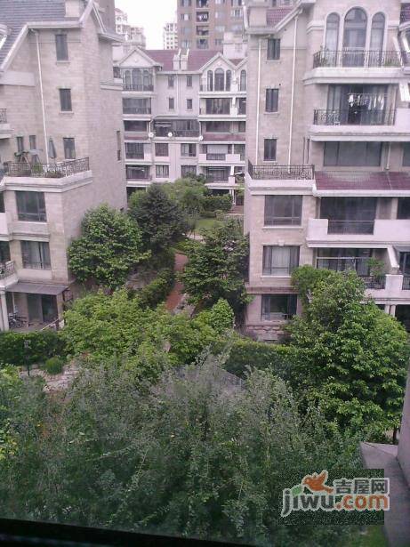 上海滩花园洋房北区实景图图片