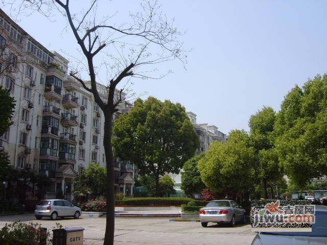 长青苑实景图图片