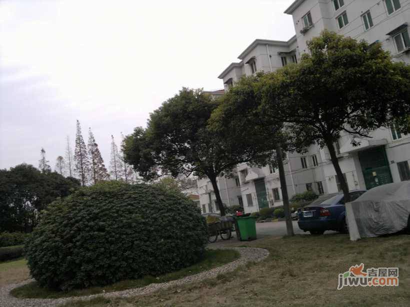 南国龙苑实景图图片