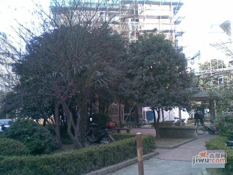 上钢七村实景图图片