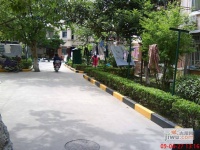 上南二村实景图图片