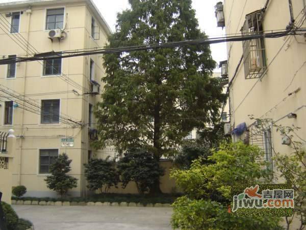 临沂四村实景图图片