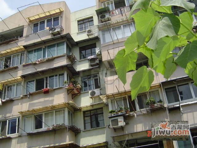 临沂四村实景图图片