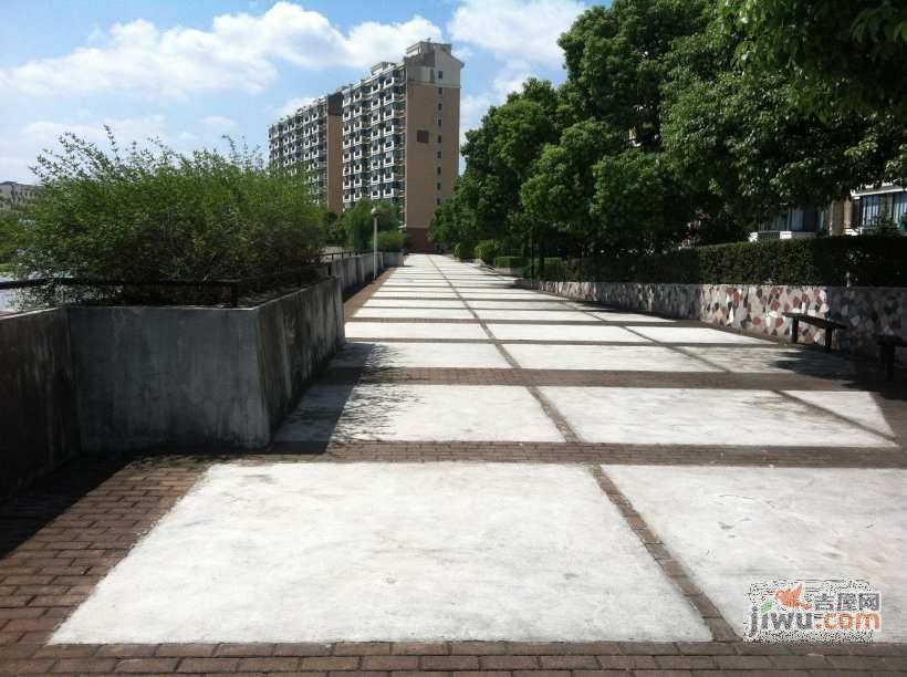 天意洲家园实景图图片