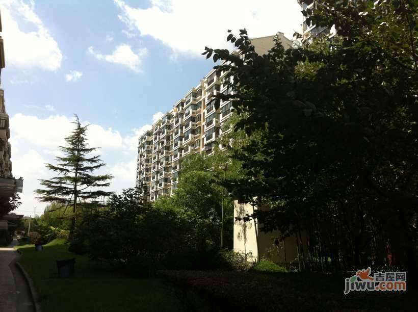 天意洲家园实景图图片