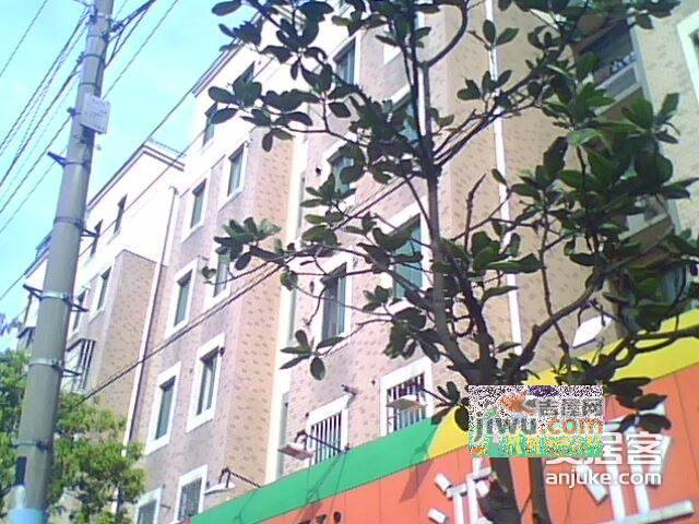 古桐新村实景图图片