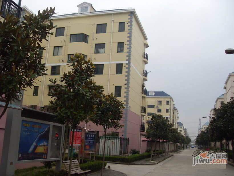 古桐新村实景图图片