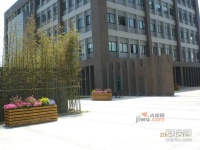 张江商务研发楼实景图图片