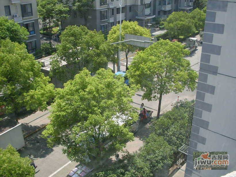 香楠新村实景图图片