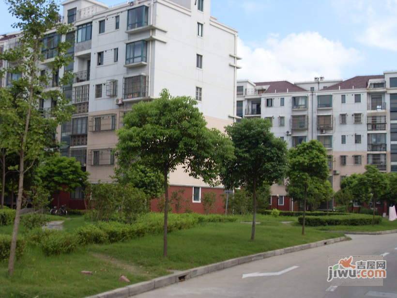 伟丰新村实景图图片