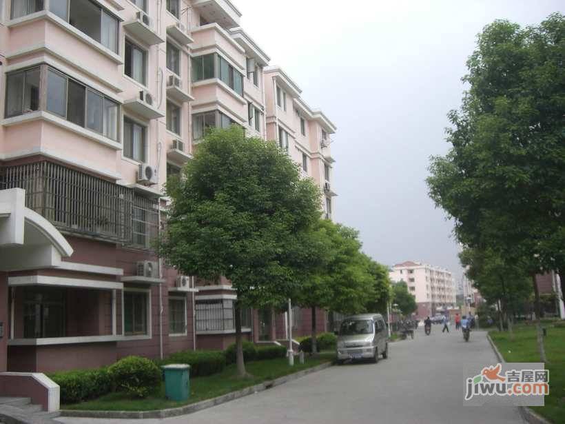 伟丰新村实景图图片