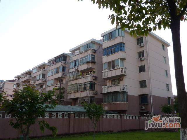 伟丰新村实景图图片