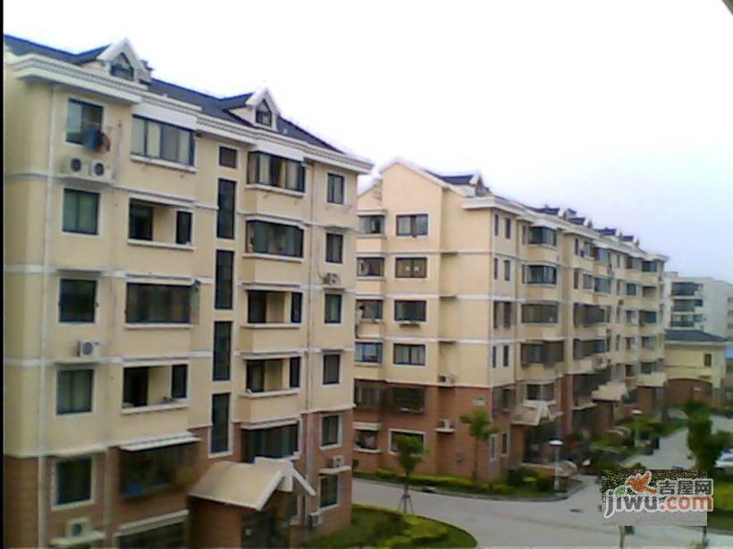 伟丰新村实景图图片