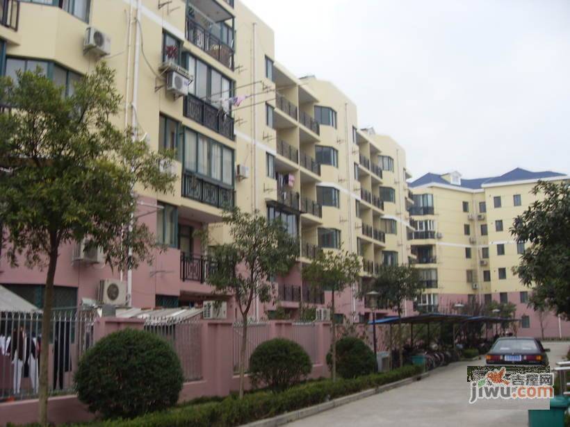 伟丰新村实景图图片