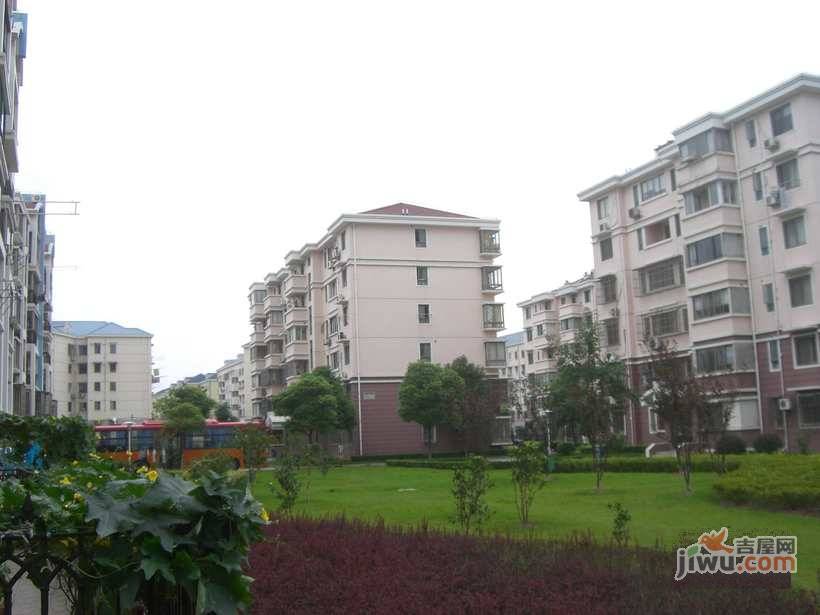 伟丰新村实景图图片