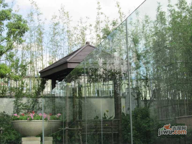汤臣湖庭花园三期实景图图片