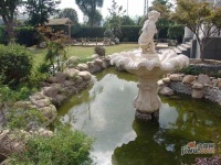 棕榈泉花园实景图图片