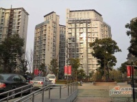 金桥禹州国际三期公寓实景图图片