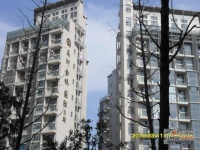 金桥禹州国际三期公寓实景图图片