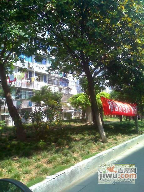 沪新小区实景图图片