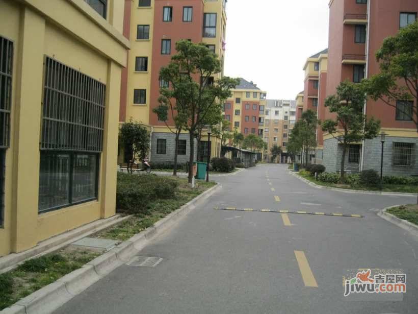 杨园新村实景图图片