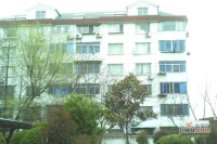 申龙公寓实景图图片