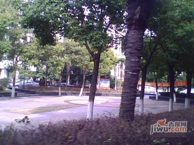 绿景苑实景图图片