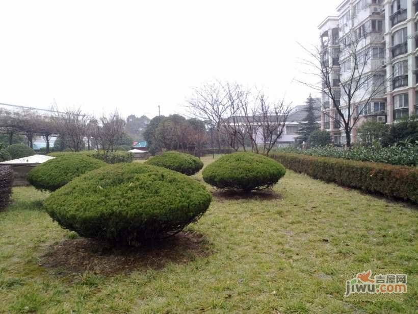 伟莱家园实景图图片