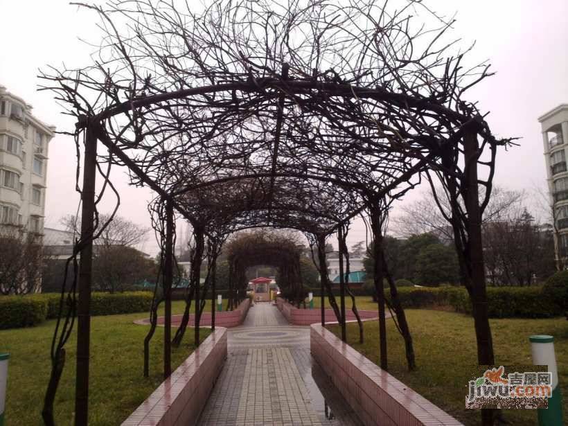 伟莱家园实景图图片