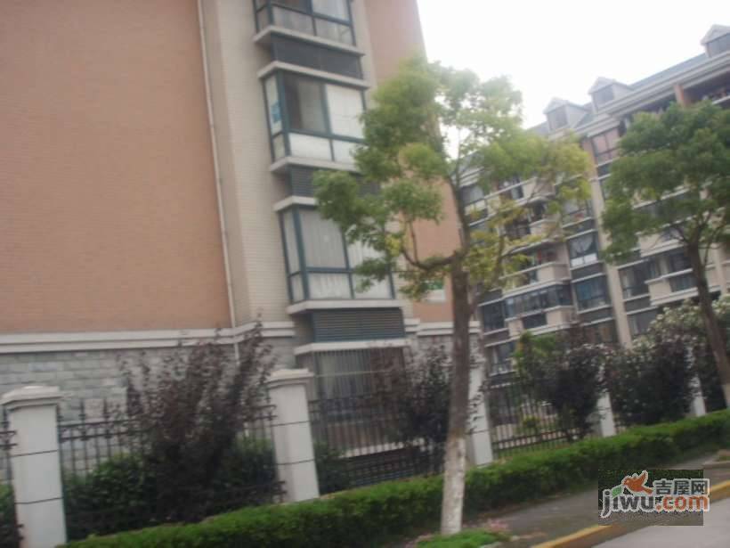金隆家园实景图图片